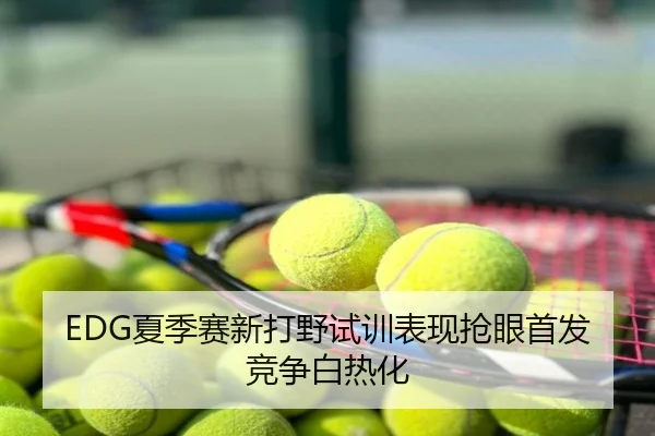 EDG夏季赛新打野试训表现抢眼首发竞争白热化